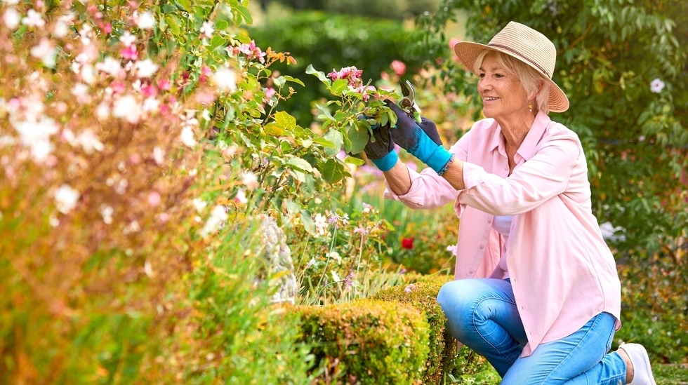 Staying Mobile Through the Years: Joint Health for Every Stage of Life