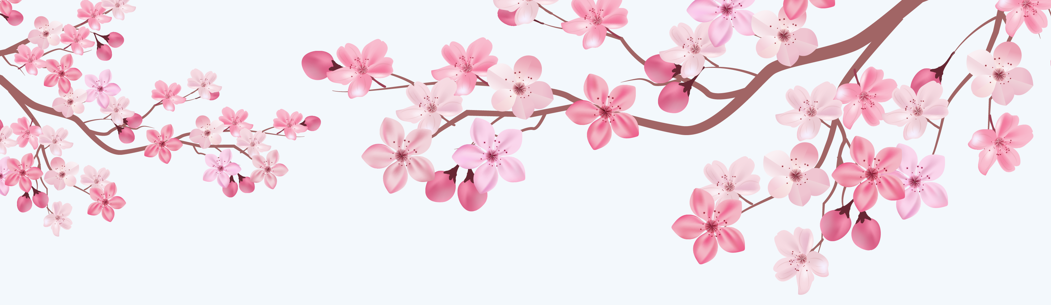 Cherry Blossom for thank you-01.png