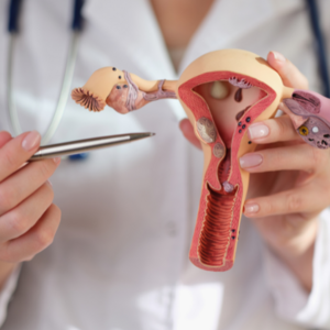 Endometrial Cancer: Symptoms, Causes, and Innovative Treatments Available at Elliot Hospital