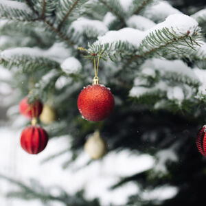 Evergreens for Elliot Preview Party