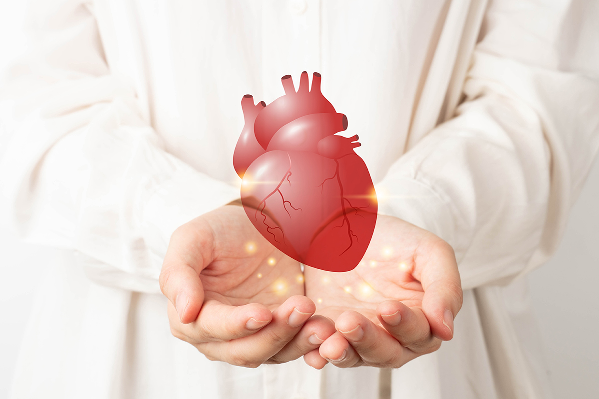 Understanding Heart Surgery